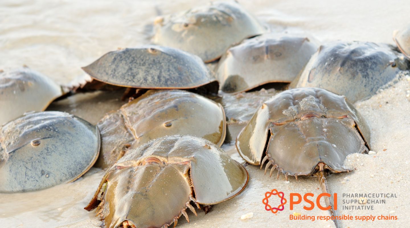 PSCI Position Paper on Sector’s Use of Horseshoe Crabs