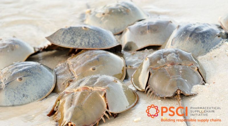 PSCI Position Paper on the Use of Horseshoe Crabs